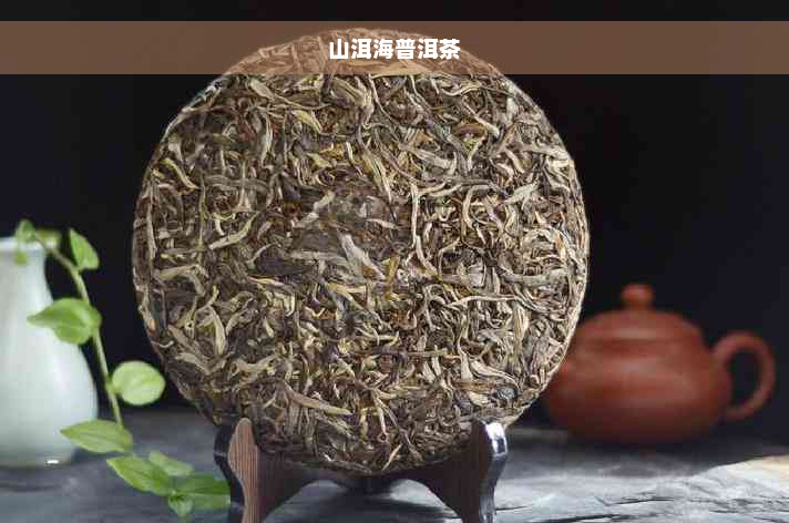 山洱海普洱茶