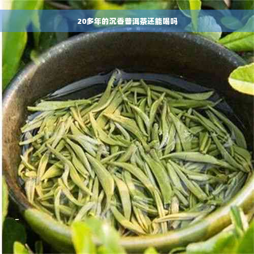 20多年的沉香普洱茶还能喝吗