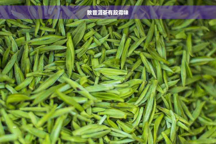 散普洱茶有股霉味