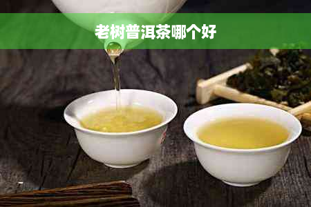 老树普洱茶哪个好