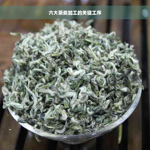 六大茶类加工的关键工序