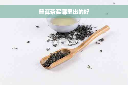 普洱茶买哪里出的好