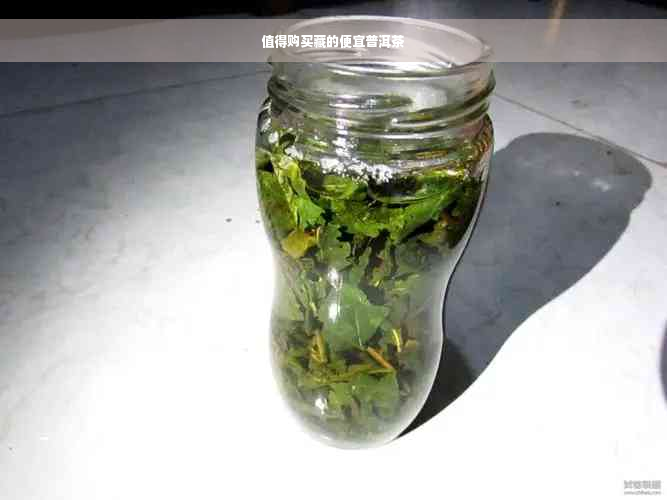 值得购买藏的便宜普洱茶