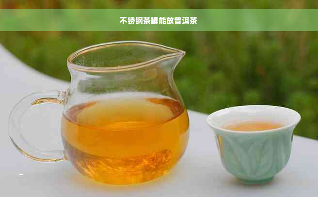 不锈钢茶罐能放普洱茶