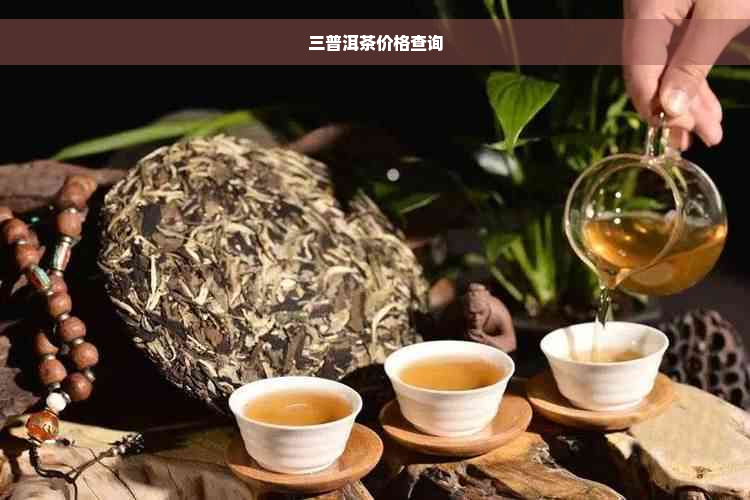 三普洱茶价格查询