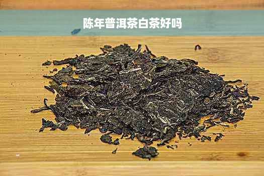 陈年普洱茶白茶好吗