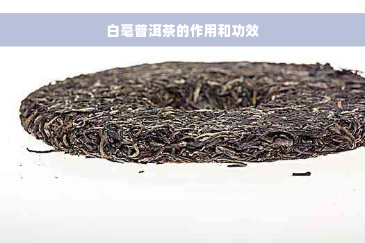 白毫普洱茶的作用和功效