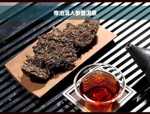 帝泊洱人参普洱茶