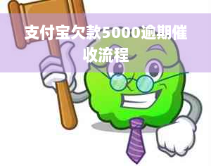 支付宝欠款5000逾期催收流程