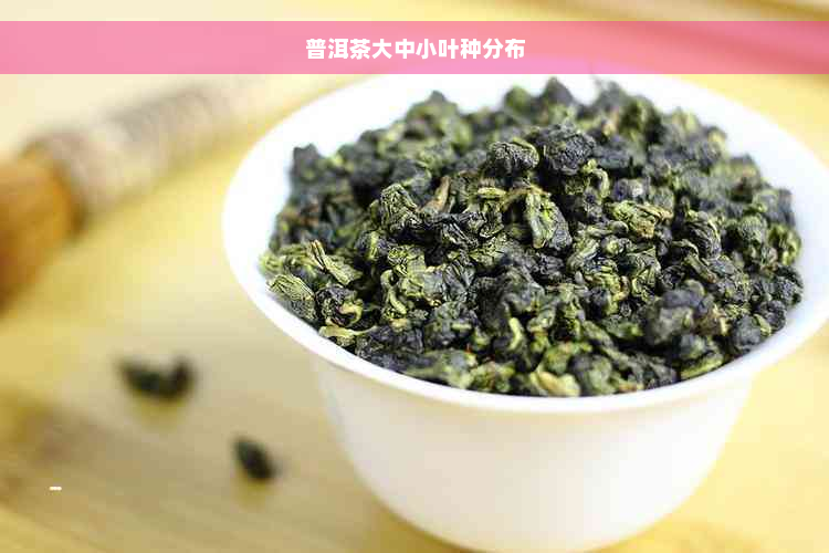 普洱茶大中小叶种分布