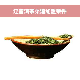 辽普洱茶渠道加盟条件