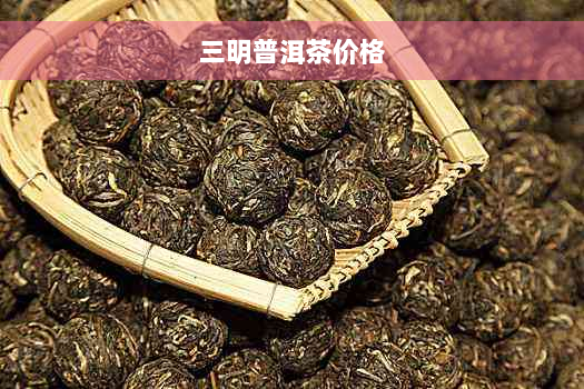 三明普洱茶价格