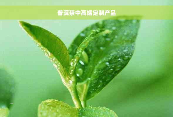 普洱茶中高端定制产品