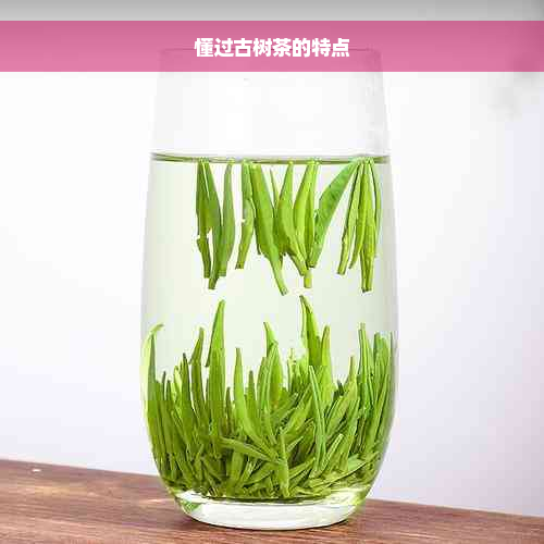 懂过古树茶的特点