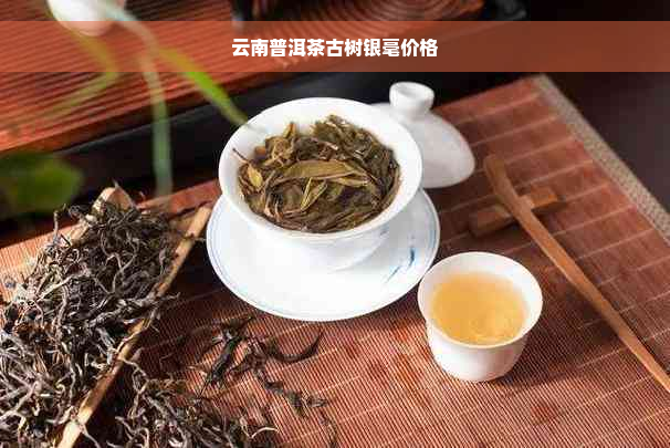 云南普洱茶古树银毫价格