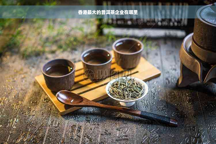 香港更大的普洱茶企业在哪里