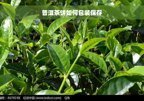 普洱茶饼如何包装保存