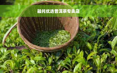 融托优选普洱茶专卖店