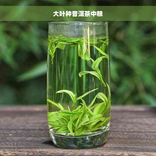 大叶种普洱茶中粮