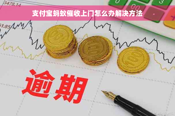 支付宝蚂蚁催收上门怎么办解决方法