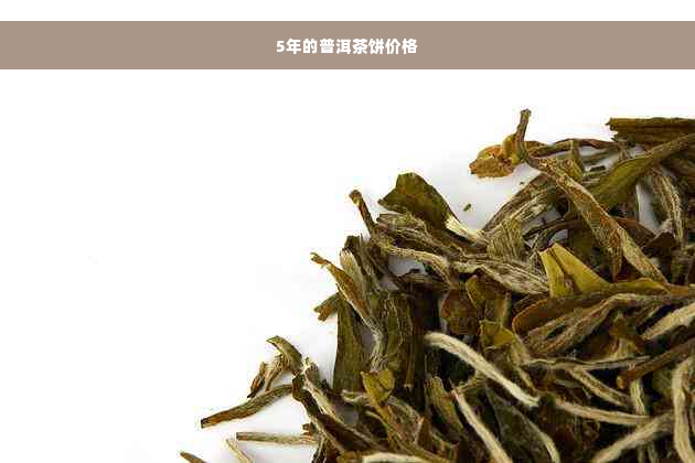 5年的普洱茶饼价格