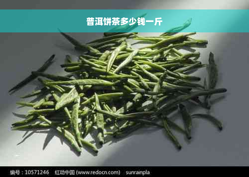 普洱饼茶多少钱一斤