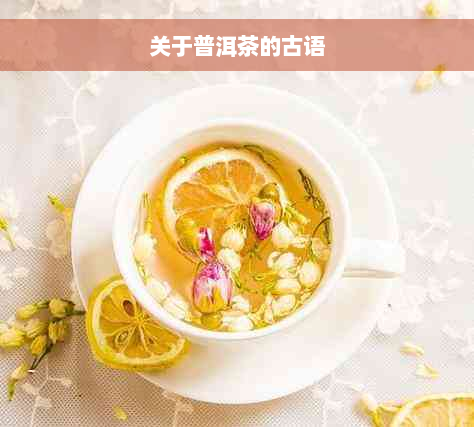 关于普洱茶的古语