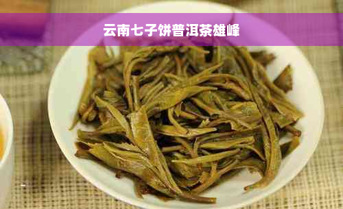 云南七子饼普洱茶雄峰