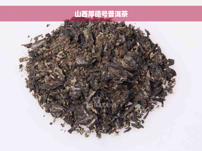 山西厚德号普洱茶