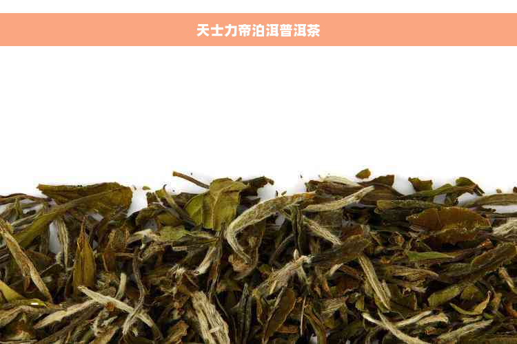 天士力帝泊洱普洱茶