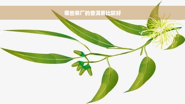 哪些茶厂的普洱茶比较好