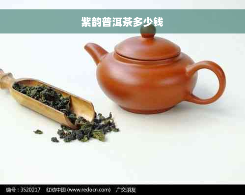 紫韵普洱茶多少钱