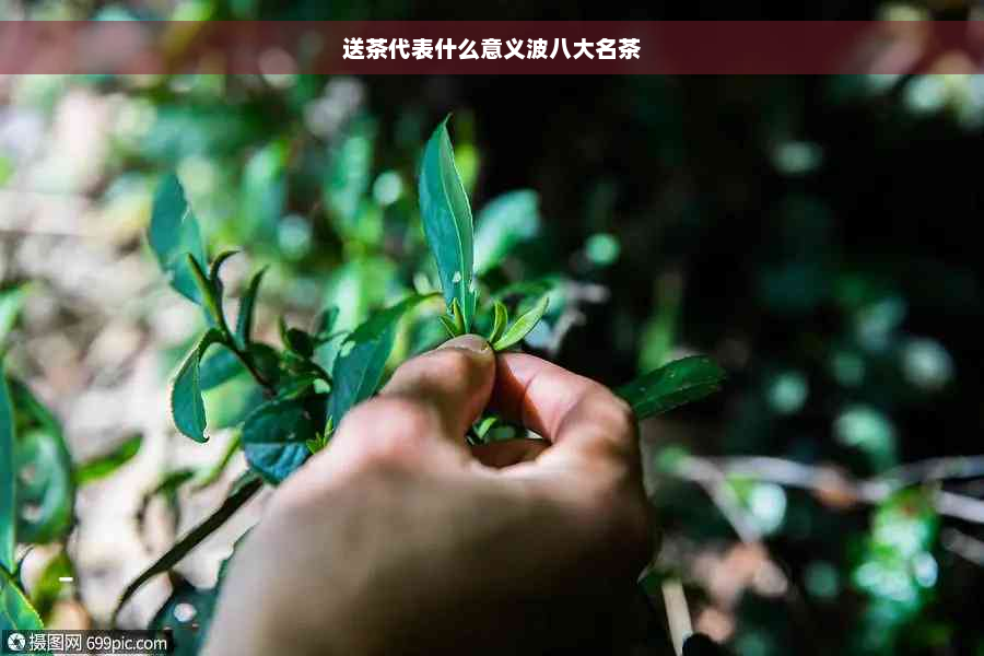 送茶代表什么意义波八大名茶