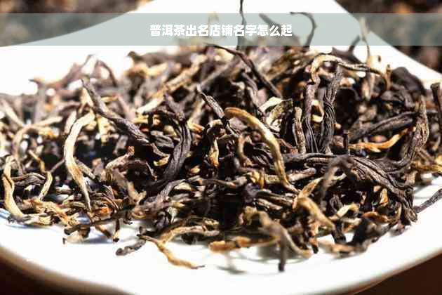 普洱茶出名店铺名字怎么起