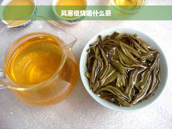 风寒低烧喝什么茶