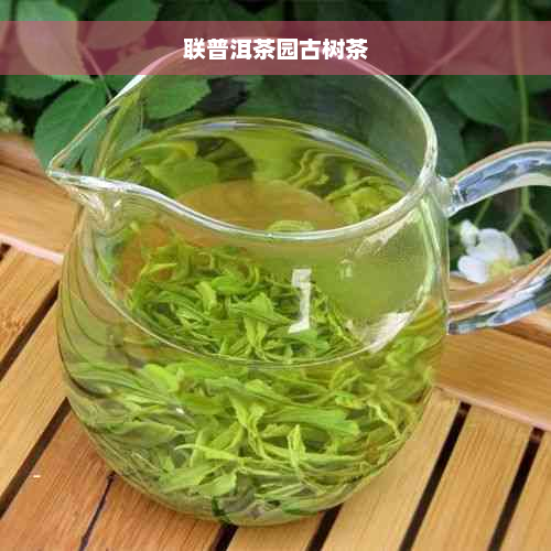 联普洱茶园古树茶