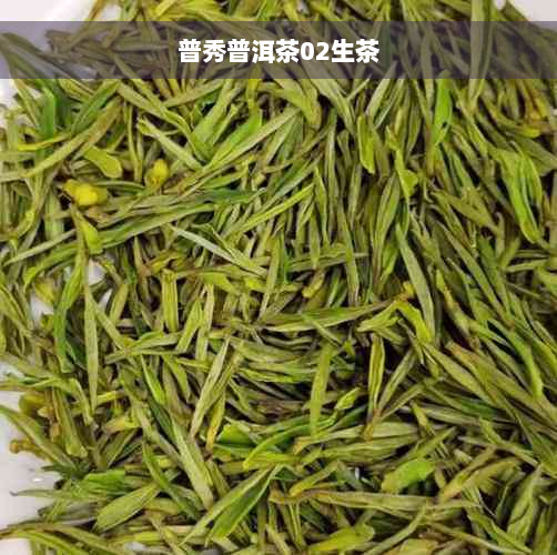 普秀普洱茶02生茶