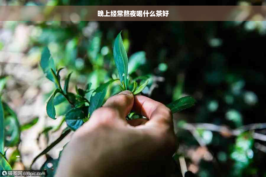 晚上经常熬夜喝什么茶好