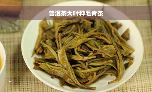 普洱茶大叶种毛青茶