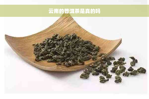 云南的普洱茶是真的吗