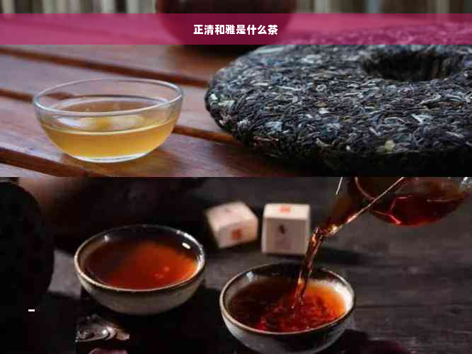 正清和雅是什么茶