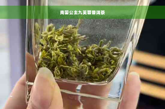 南国公主九芙蓉普洱茶