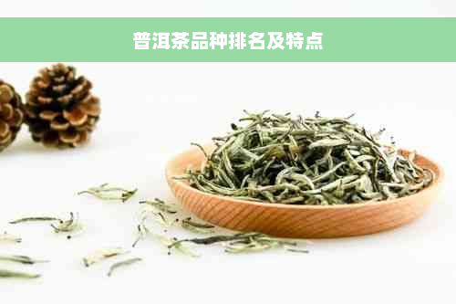 普洱茶品种排名及特点