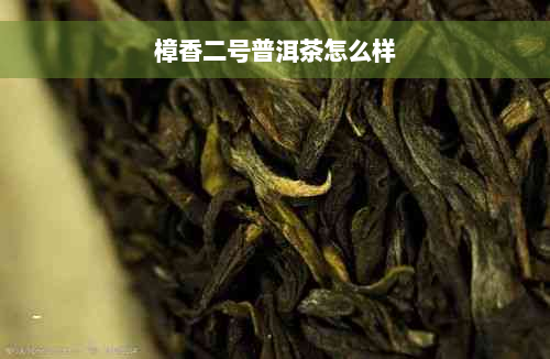 樟香二号普洱茶怎么样