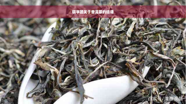 研学团关于普洱茶的结语