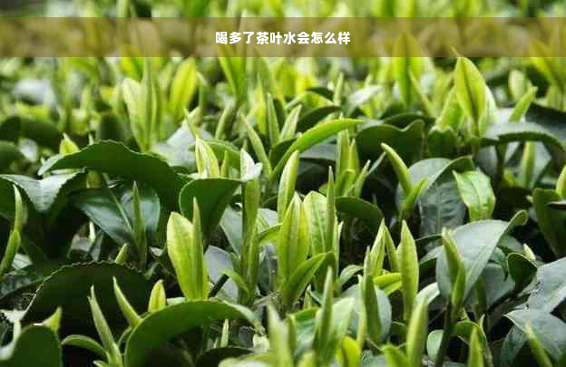 喝多了茶叶水会怎么样