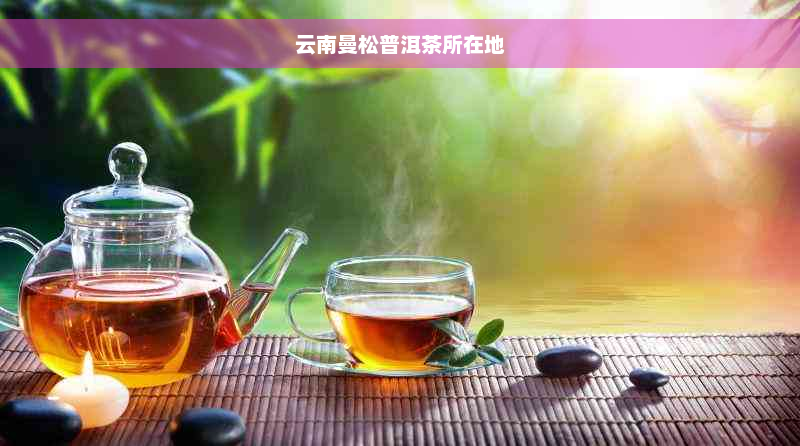 云南曼松普洱茶所在地