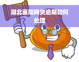 湖北襄阳网贷逾期如何处理