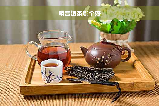 明普洱茶哪个好