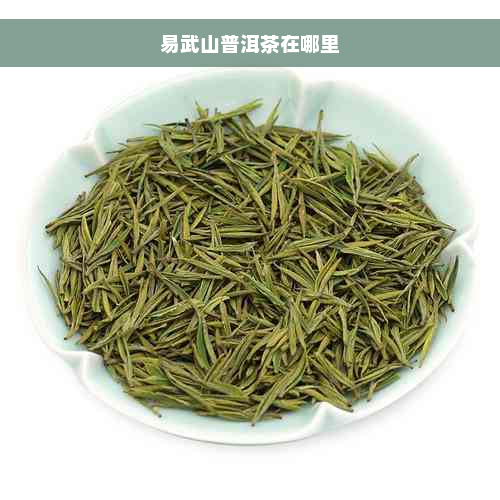 易武山普洱茶在哪里